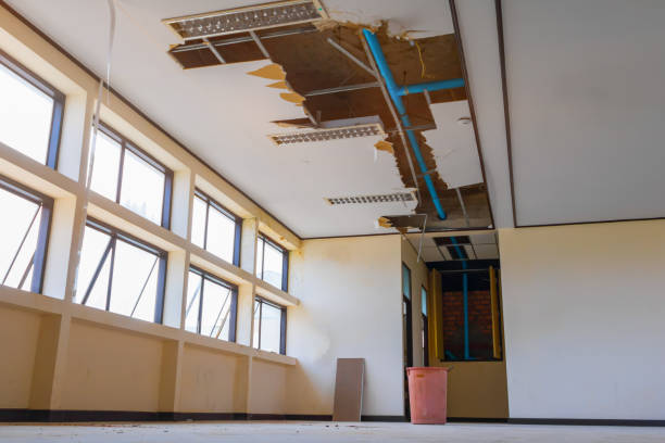 Water damage restoration mold remediation in Loganville, GA