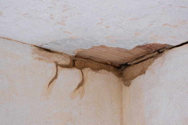 Best Fire Damage Restoration  in Lonville, GA
