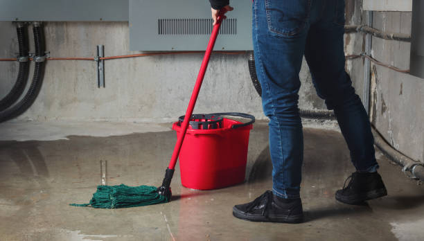 Best Water damage restoration specialists  in Lonville, GA