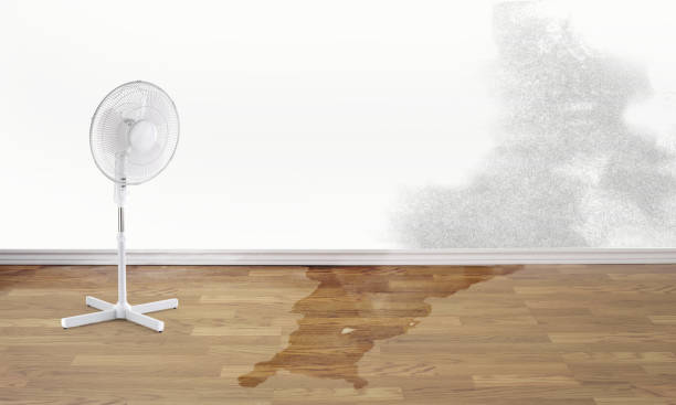 Best Ceiling water damage repair  in Lonville, GA