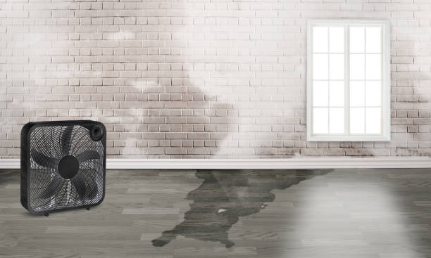 Best Water damage restoration near me  in Lonville, GA