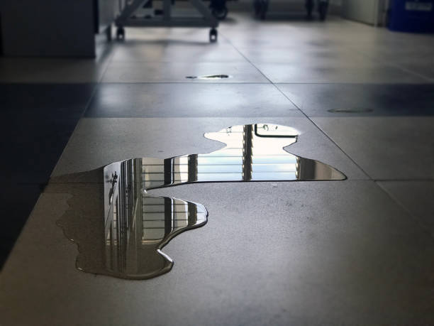 Best Water damage restoration near me  in Lonville, GA