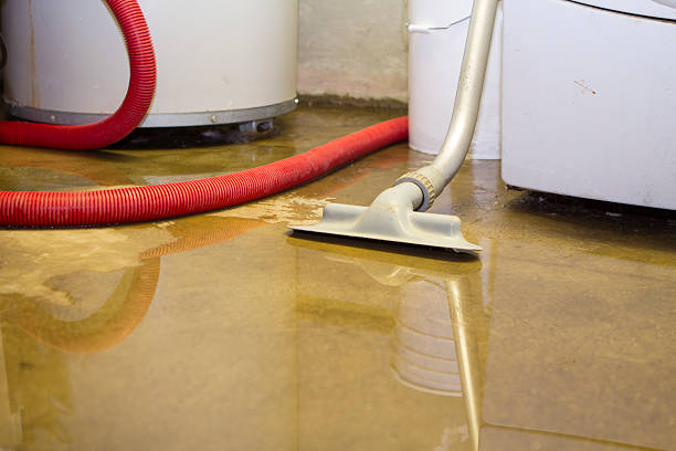 Best Flood restoration services  in Lonville, GA