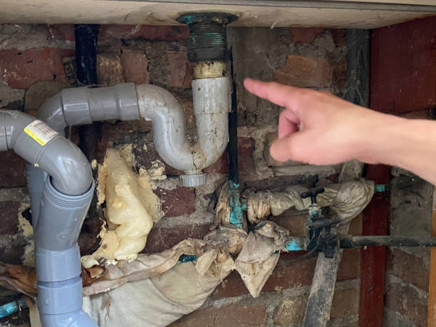Best Ceiling water damage repair  in Lonville, GA