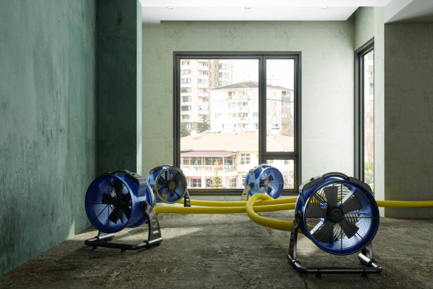 Best Local water damage restoration  in Lonville, GA